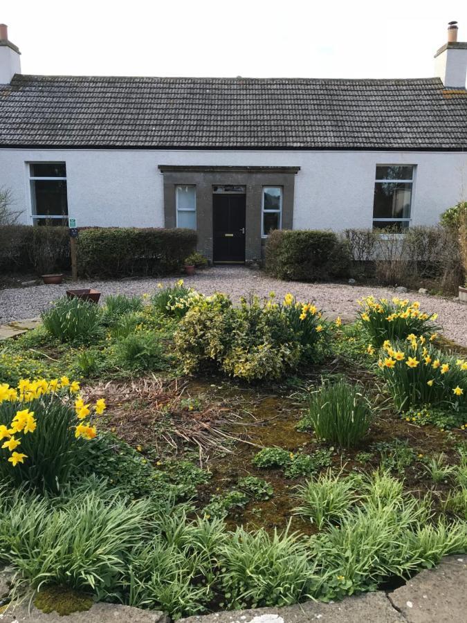 Thurdistoft Farmhouse, Dunnetbay Accommodation Thurso Exteriör bild