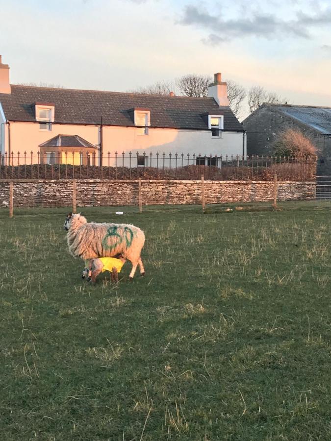 Thurdistoft Farmhouse, Dunnetbay Accommodation Thurso Exteriör bild